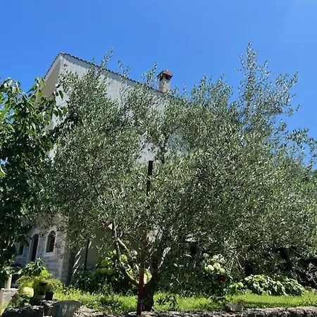 Baricevi Dvori Apartamento