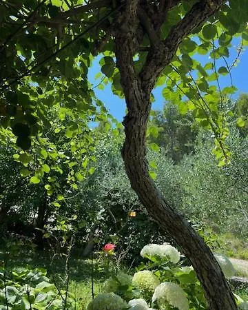 Apartamento Baricevi Dvori